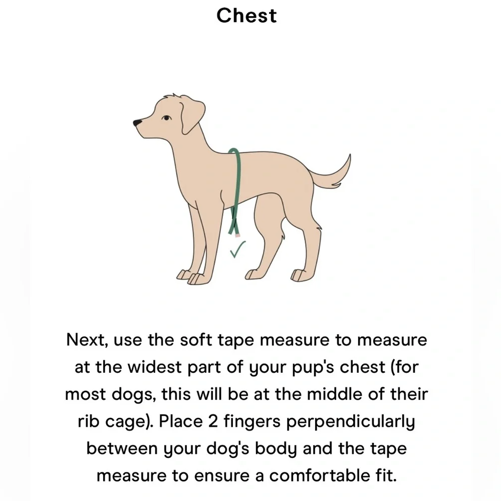 Wild One Dog Harness - Medium - Spruce Green
